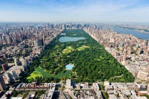 3 nyc.jpg
