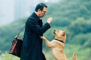 Imagen del remake chino de 'Hachiko'