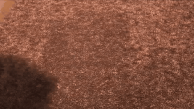 gif estimulación temprana