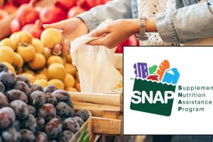 programa alimentos San Antonio