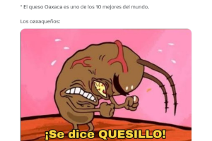 queso-oaxaca-quesillo-mejor-mundo (2).png
