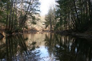 BOSQUE ESTATALES/Jacobsburg 2.jpg