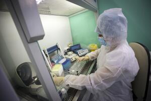 Russia China Outbreak