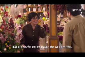 Verónica Castro 'La casa de las flores'