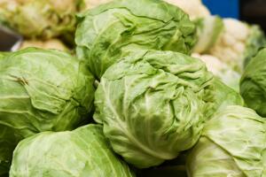 Nueva Jersey pide desechar lechuga posiblemente contaminada con ciclospora.