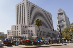 Los Angeles Homeless