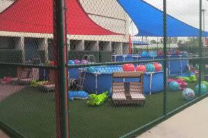 campamento de verano/campo verano.jpg