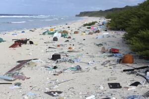New Zealand Island Trash