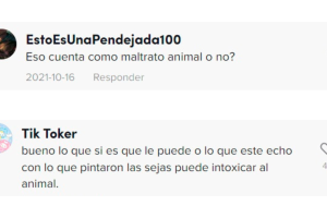 opiniones_tiktok_perritos_cejas