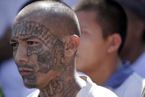 MS-13 Mara Salvatrucha