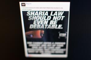 Intervención rusa en la campaña