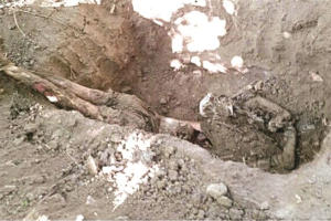 En varios estados se han descubierto osamentas de personas, que pudieran corresponder con los desaparecidos.