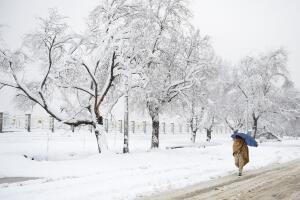 Afganistán Daily Life