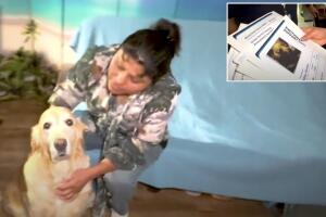 Sonia Gómez Abby mascota apoyo emocional desalojo Los Ángeles