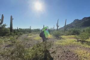 Voluntarios buscan en el desierto restos de migrantes que se perdieron para cruzar la frontera.