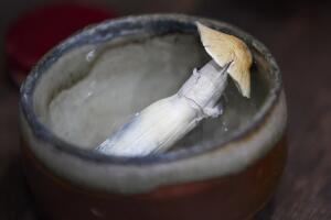 Oregon Psilocybin Bans