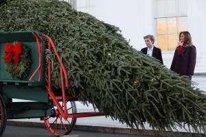 Melania Trump, árbol de navidad llega a la casa blanca