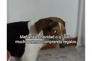 memes-san-valentin-14-febrero-ig (1).png