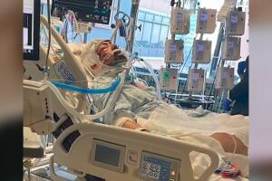 BeFunky-design (2).jpg