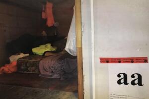 Mexicanos esclavos en el norte de California