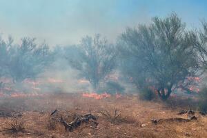 Piden a residentes de Kearny evacuar debido al incendio forestal Ray Fire