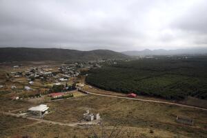 Mexico Border Killings