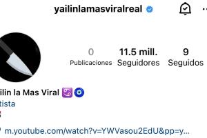 Yailin retomó con esta imagen su actividad en Instagram el pasado sábado 23 de diciembre. Horas después quitó ese avatar y puso uno en donde ella aparece. 