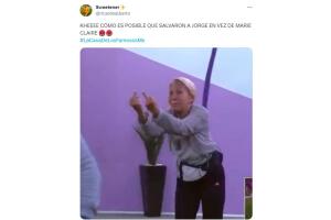 cdlf_2.jpg