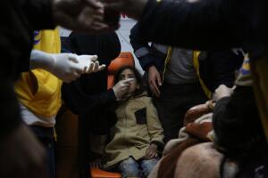 Cascos Blancos sirios