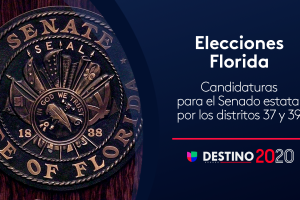 FL Senado estatal.png