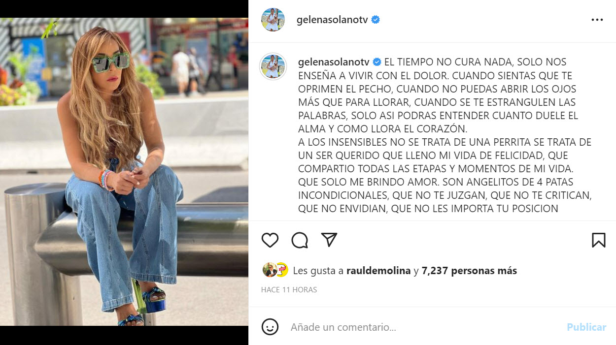 Gelena Solano, reportera de El Gordo y La Flaca, vuelve a estar de luto  tras la muere de su otro “hijo” | Univision Famosos | Univision