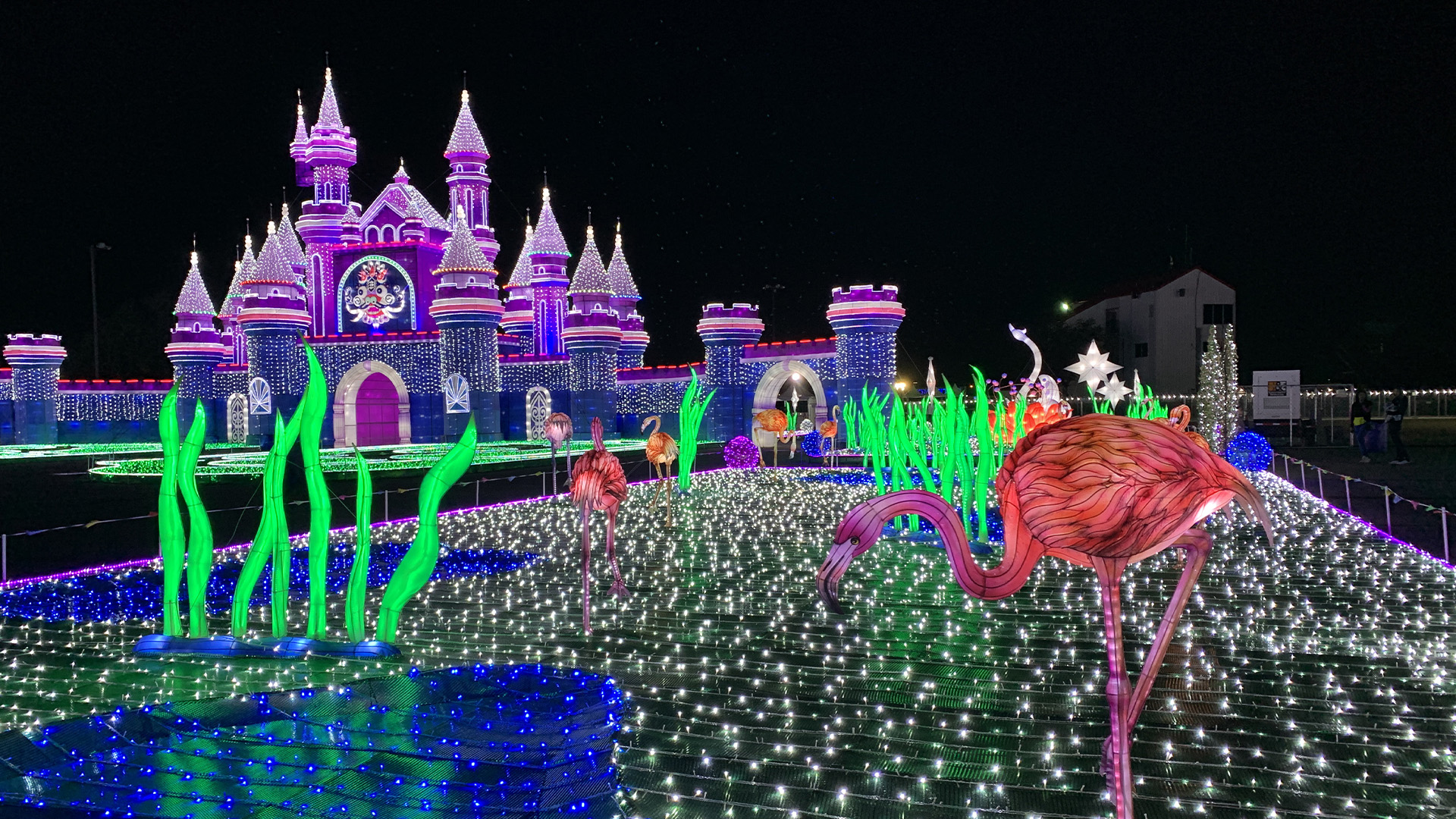 Descubre un mágico mundo de luces navideñas en Magical Winter Lights al