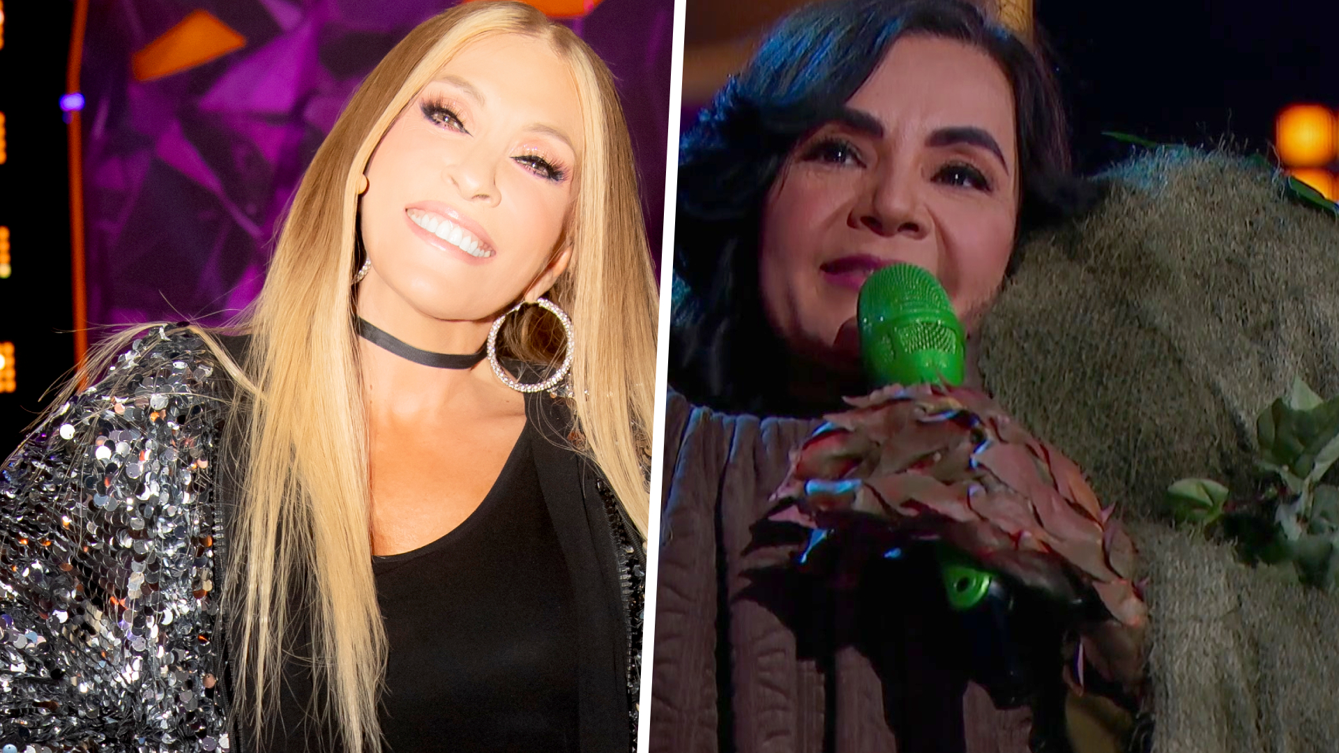¿Quién Es La Máscara? 2025 Yuri revela cómo supo que Lorena de la