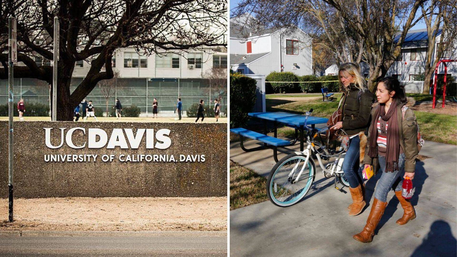 de seguridad a estudiantes de UC Davis ente la serie de