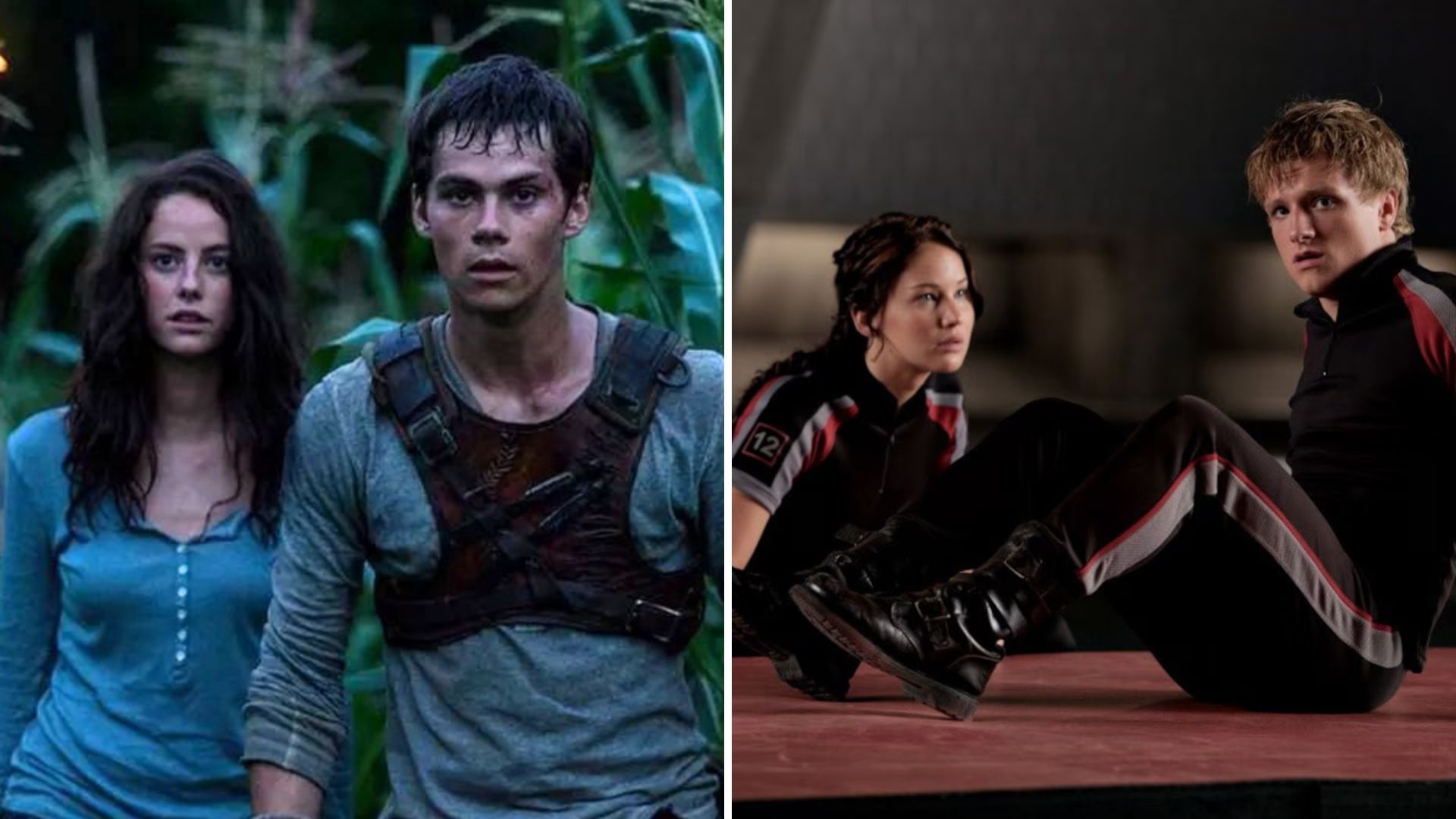 If you are a fan of ‘Maze Runner: Run or Die’, you will also like these similar movies