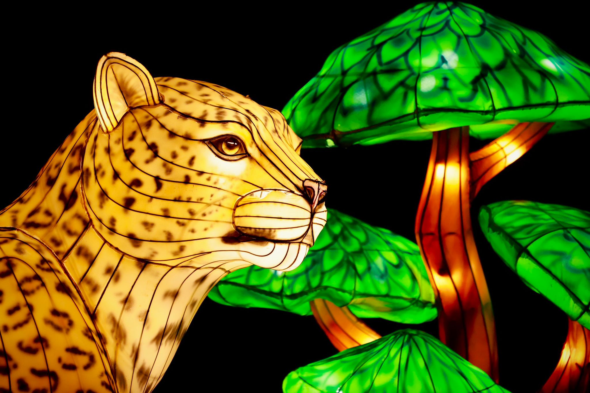 ZooLights el espectáculo de luces del Zoológico Nacional del